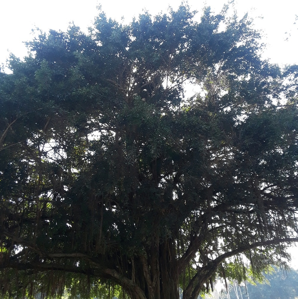 Meet your Posher, Alex!